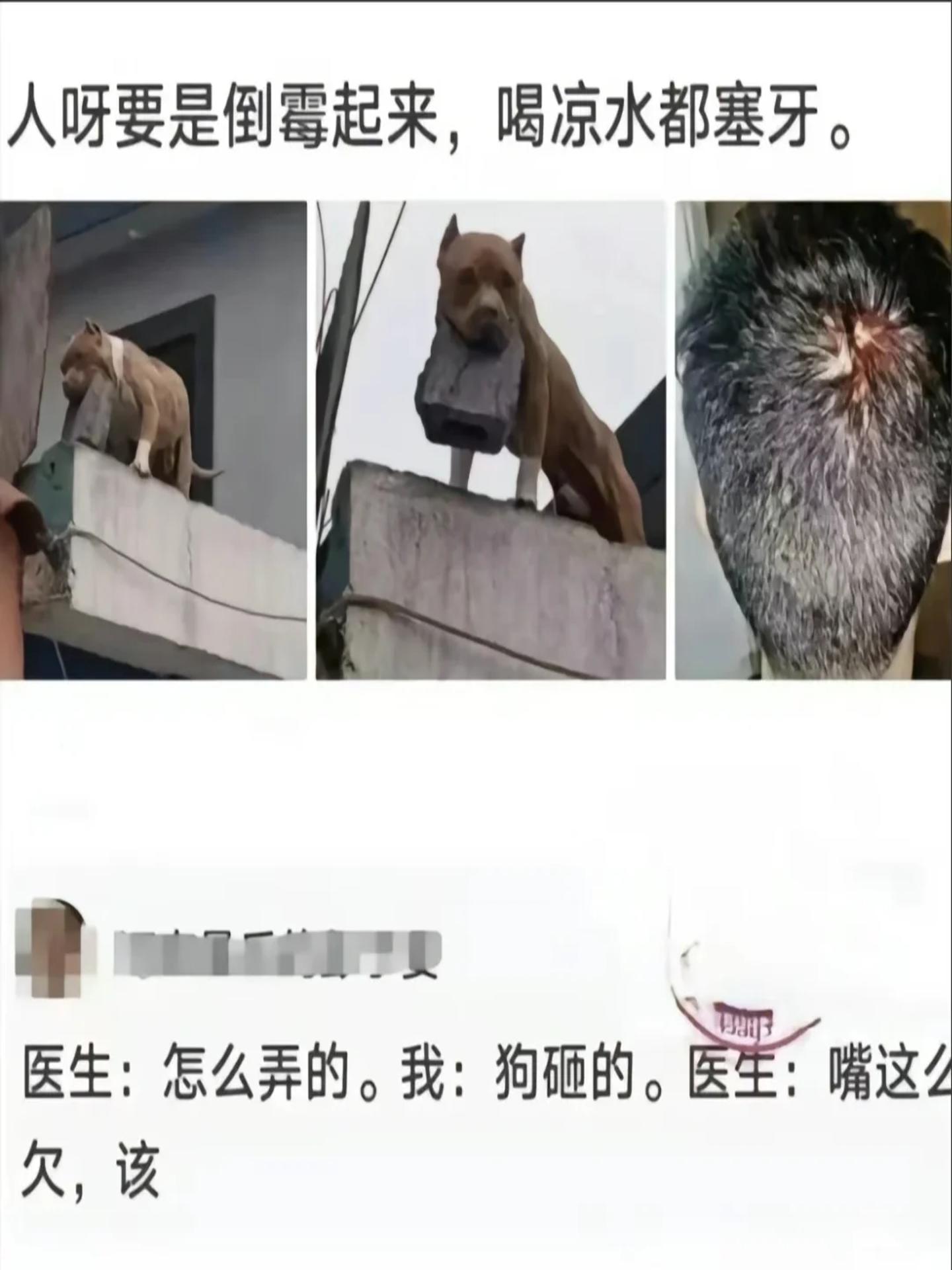 暴笑笑话-爆笑笑话笑死人不偿命 暴笑笑话-爆笑笑话笑死人不偿命