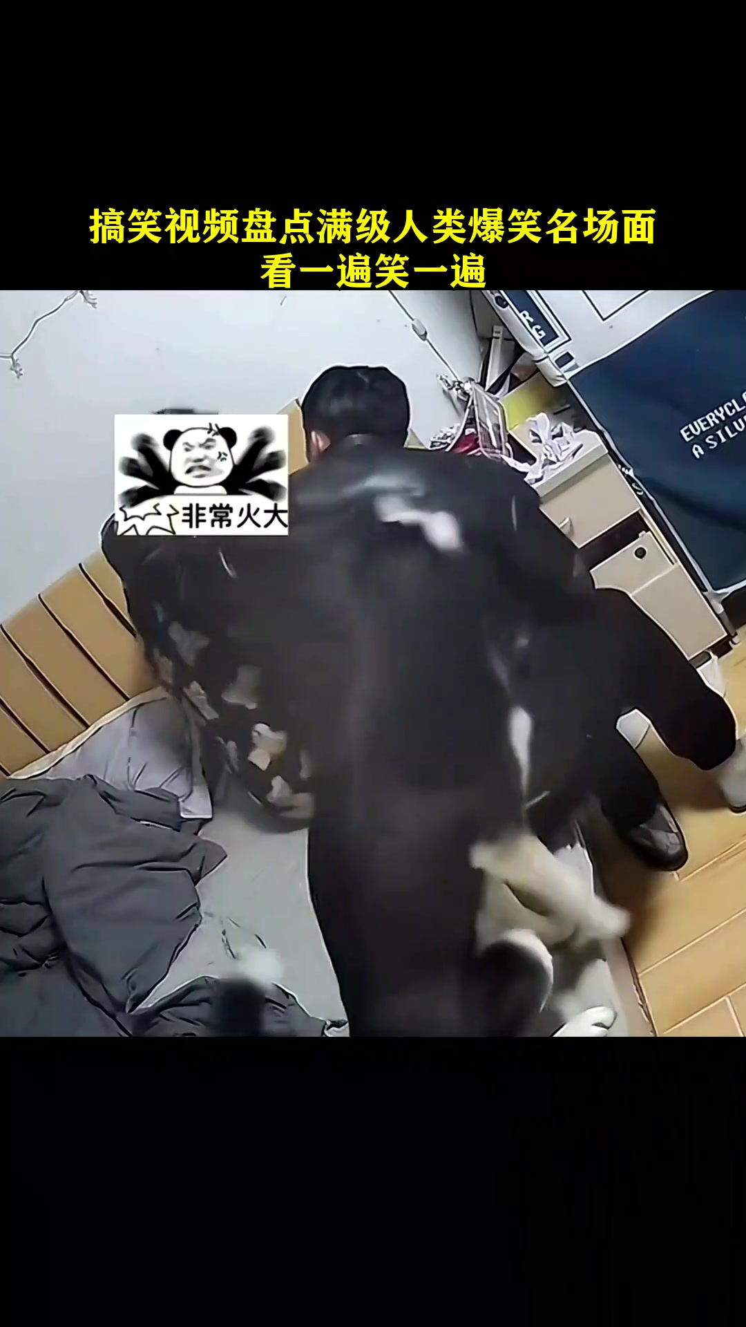 搞笑视频-搞笑视频熊出没 搞笑视频-搞笑视频熊出没