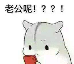 我老公呢的简单介绍 我老公呢的简单介绍