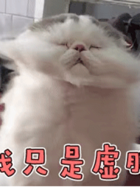 反正是你的-反正都是你的错表情包