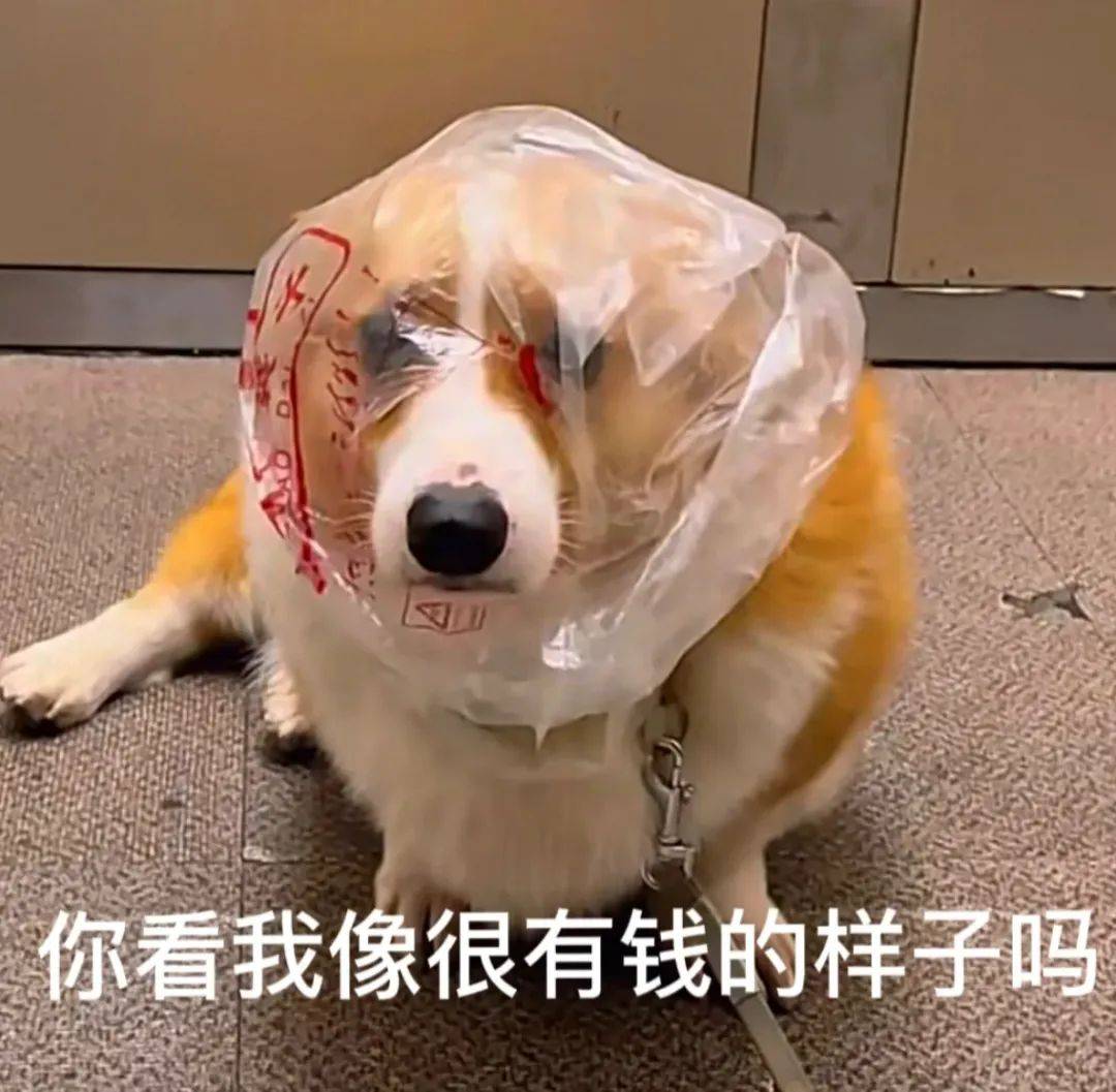 搞笑钞票图片-钞票搞笑图片带字 幽默 搞笑钞票图片-钞票搞笑图片带字 幽默