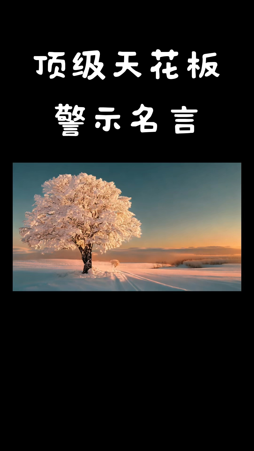 名言-名言警句100条
