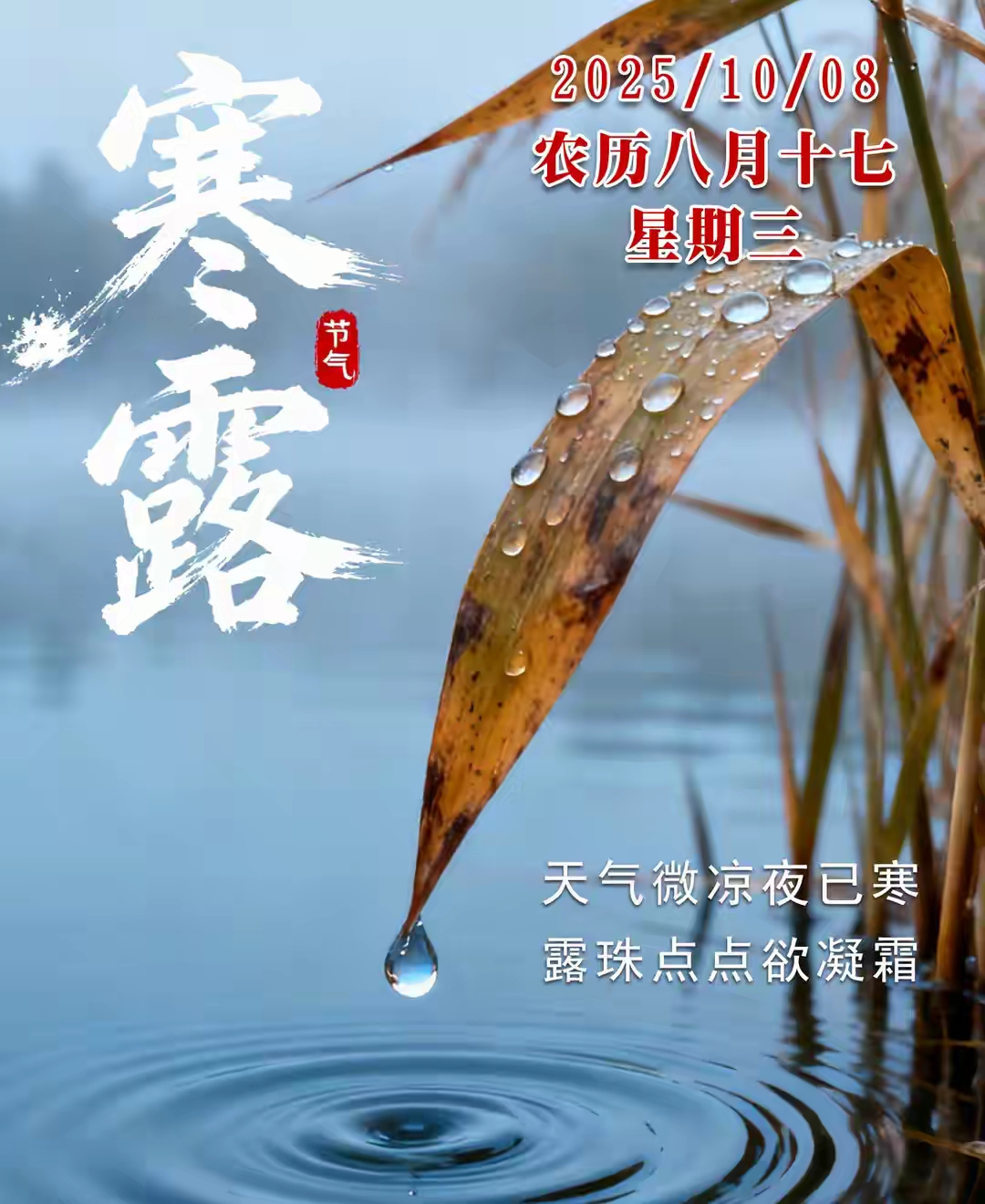 寒露短信-2018寒露节气短信祝福语录 寒露短信-2018寒露节气短信祝福语录