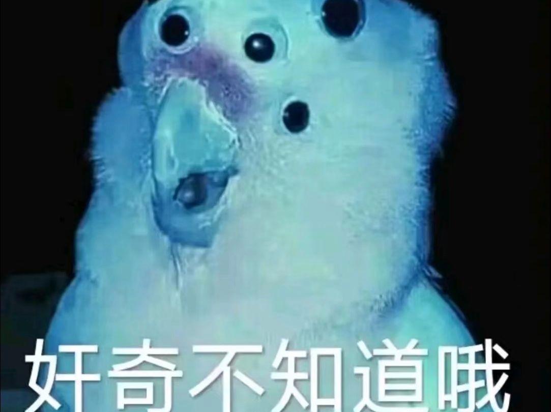 搞笑百度知道-百度搞笑的经典句子