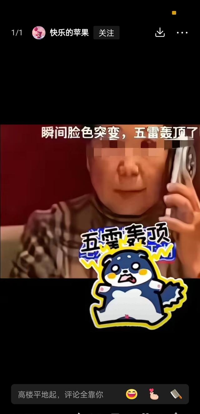 傻女婿-傻女婿见老丈人视频